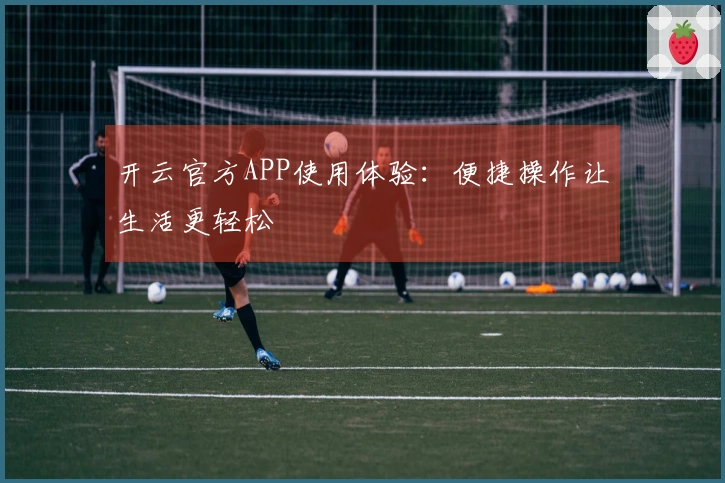 开云官方APP使用体验：便捷操作让生活更轻松