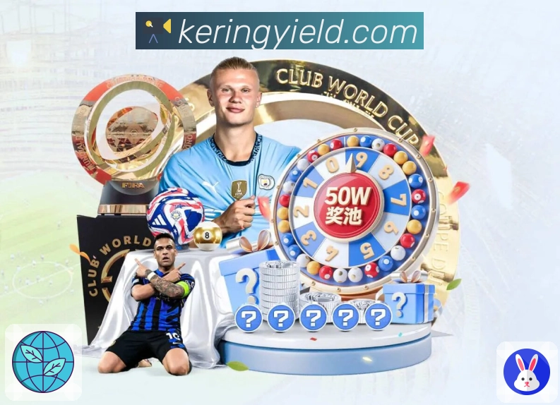 多维度分析开云入口使用体验及主要功能亮点解析